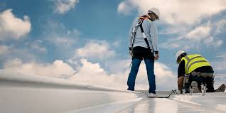 Best Roof Maintenance and Cleaning  in Paulsboro, NJ